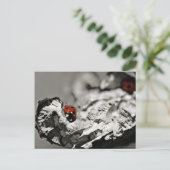 Ladybugs-Briefkaarten Briefkaart (Staand voorkant)