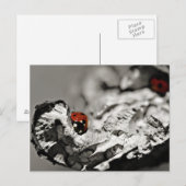 Ladybugs-Briefkaarten Briefkaart (Voorkant / Achterkant)