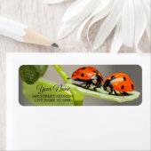 Ladybugs-bundels geven adreslabel terug etiket (Insitu)