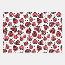 LADYBUGS CADEAUVERPAKKING