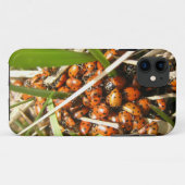 Ladybugs (Coccinellidae) Case-Mate iPhone Case (Achterkant (horizontaal))