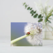 Ladybugs & Dandelion Briefkaart (Staand voorkant)