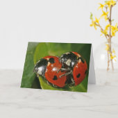 Ladybugs in de liefde kaart (Gele Bloem)