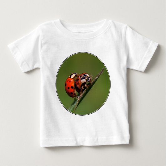 Ladybugs in Love (Voorkant)