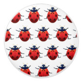 Ladybugs Keramische Knop (Voorkant)