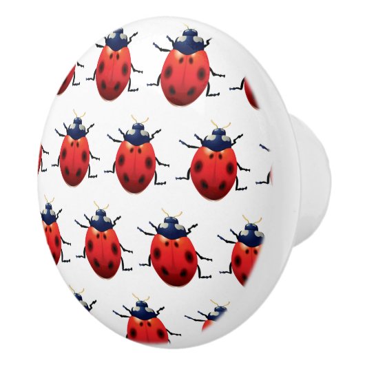 Ladybugs Keramische Knop (Rechts)