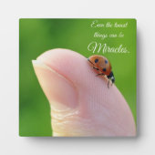 Ladybugs "Kleinste wonderen" Plaque Gift Fotoplaat (Voorkant)