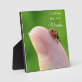 Ladybugs "Kleinste wonderen" Plaque Gift Fotoplaat (Voorkant)