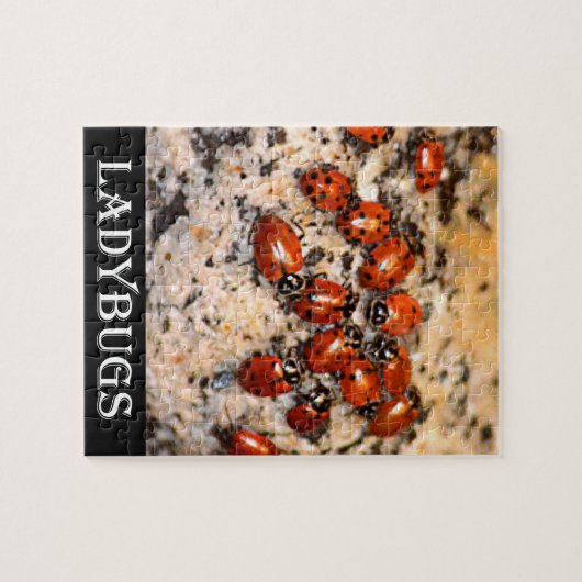 Ladybugs Legpuzzel (Horizontaal)