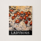 Ladybugs Legpuzzel (Verticaal)