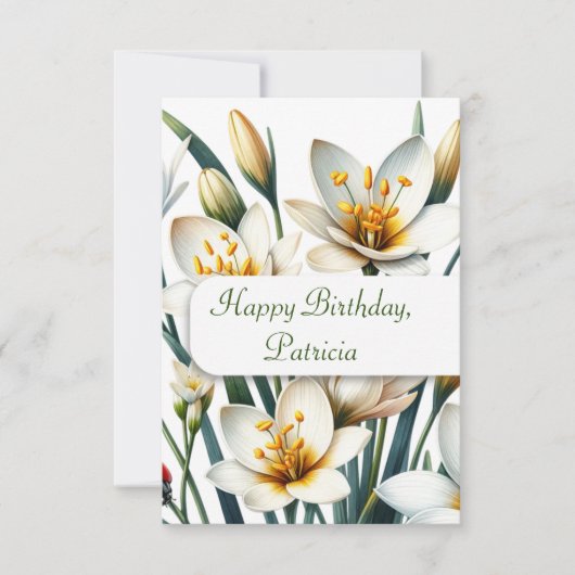 Ladybug's Lily Haven (Voorkant)