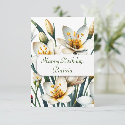 Ladybug's Lily Haven (Staand voorkant)