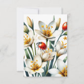 Ladybug's Lily Haven (Achterkant)