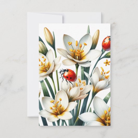 Ladybug's Lily Haven (Achterkant)