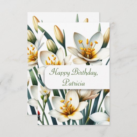 Ladybug's Lily Haven (Voorkant / Achterkant)