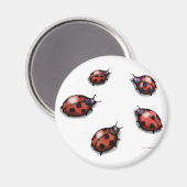 Ladybugs Magneet (Voorkant / Achterkant)