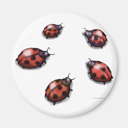 Ladybugs Magneet (Voorkant)