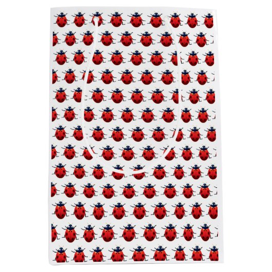 Ladybugs Medium Cadeauzakje (Voorkant)