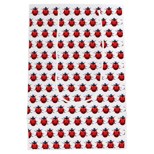 Ladybugs Medium Cadeauzakje (Achterkant)