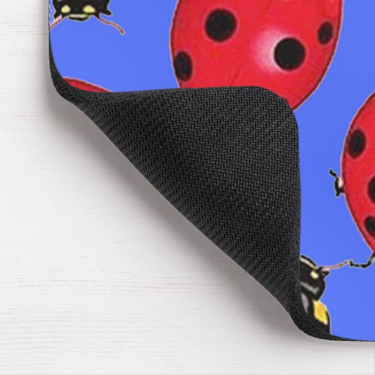 LADYBUGS MUISMAT (Hoek)