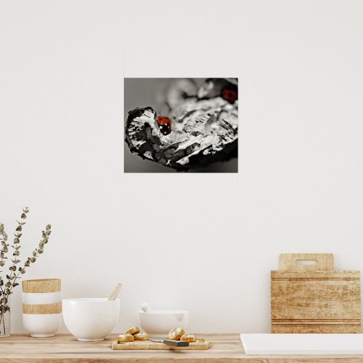 Ladybugs Poster (Keuken)