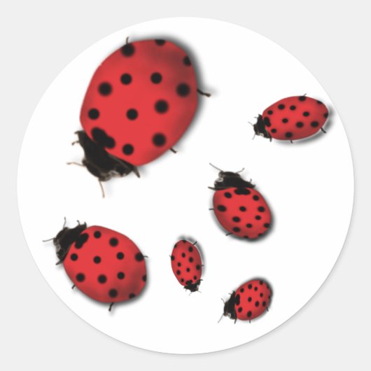 Ladybugs Ronde Sticker (Voorkant)