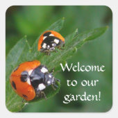 LADYBUGS ~ Square Sticker (Voorkant)