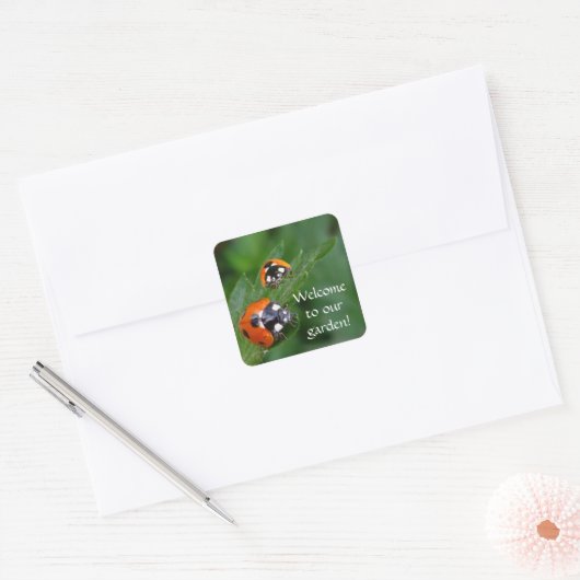 LADYBUGS ~ Square Sticker (Envelop)