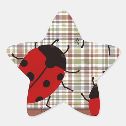 LADYBUGS STER STICKER (Voorkant)