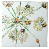 ladybugs tegeltje (Voorkant)