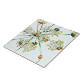 ladybugs tegeltje (Zijkant)