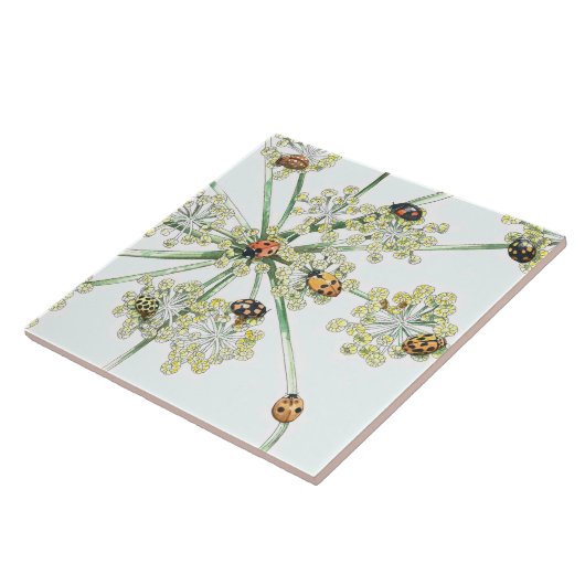 ladybugs tegeltje (Zijkant)