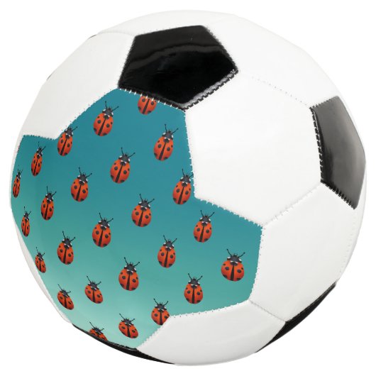 Ladybugs Voetbal (Drie kwart)
