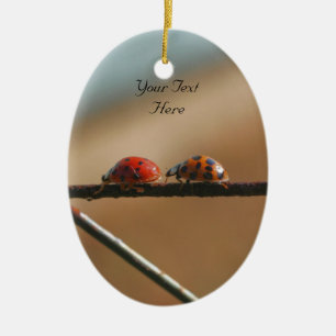 Ladybugs volgen Leader Cute Natuur Ornament