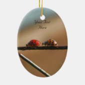 Ladybugs volgen Leader Cute Natuur Ornament (Achterkant)