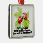 Ladybugs vriendschap citaat grappig BFF oud seniel Metalen Ornament (Rechts)