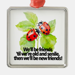 Ladybugs vriendschap citaat grappig BFF oud seniel Metalen Ornament