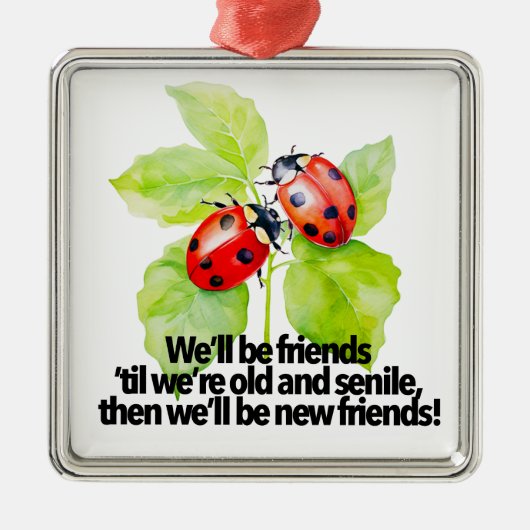 Ladybugs vriendschap citaat grappig BFF oud seniel Metalen Ornament (Voorkant)