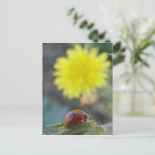 Ladybug's World Briefkaart (Staand voorkant)