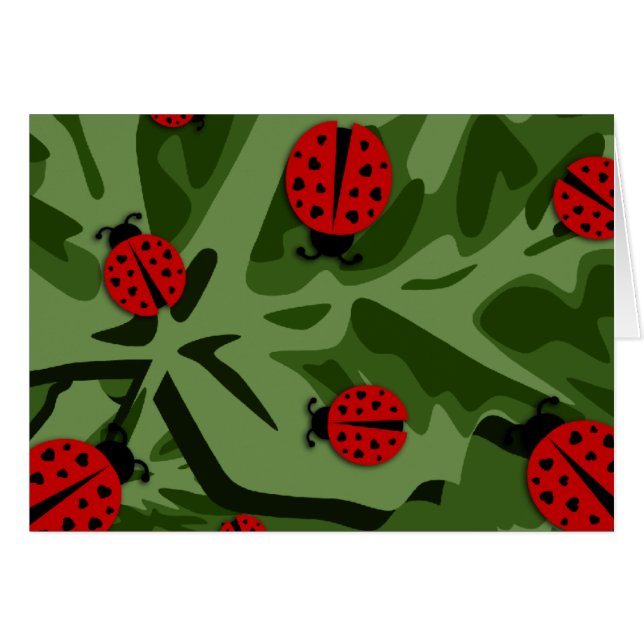 ladybugz. (Voorkant Horizontaal)