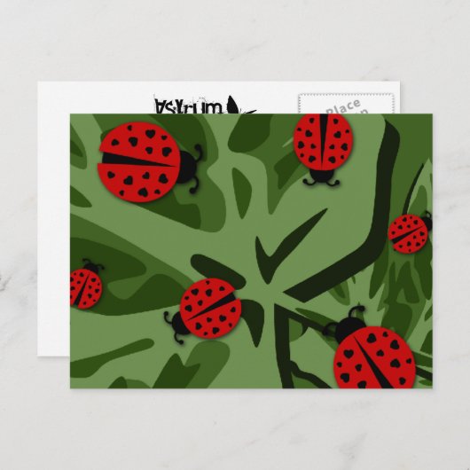 ladybugz. briefkaart (Voorkant / Achterkant)