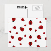 ladybugz. briefkaart (Voorkant / Achterkant)