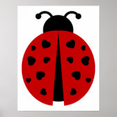 ladybugz. poster (Voorkant)