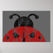 ladybugz. poster (Voorkant)