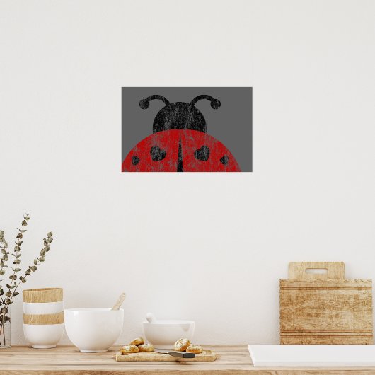 ladybugz. poster (Keuken)