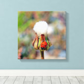 Ladyinsecteninsect groen rood milieu C Canvas Afdruk (Insitu (Houten vloer))