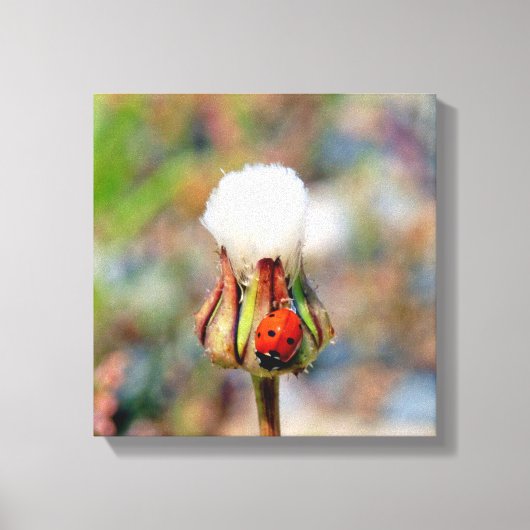 Ladyinsecteninsect groen rood milieu C Canvas Afdruk (Voorkant)