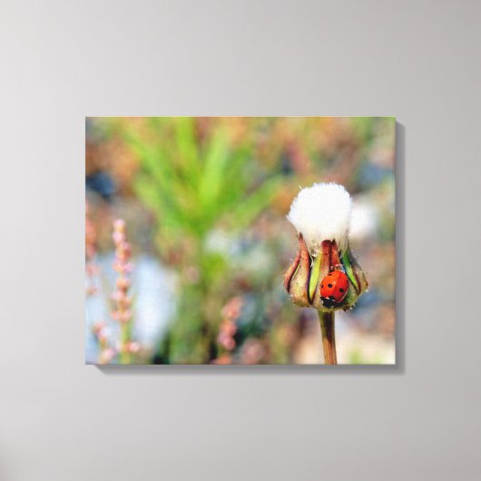 Ladyinsecteninsect groen rood milieu C Canvas Afdruk (Voorkant)