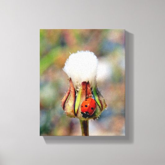 Ladyinsecteninsect groen rood milieu C Canvas Afdruk (Voorkant)