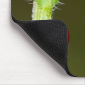 Ladykever mousepad muismat (Hoek)